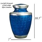 il_1140xN.2749007392_htm9