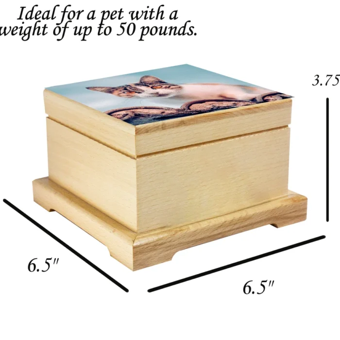 il_1140xN.4328958958_o1ow